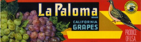 La Paloma